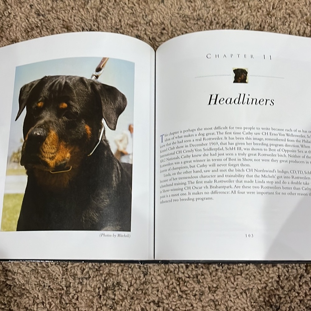 ✨ Host Pick✨ 2 Rottweiler books. - Picture 4 of 13